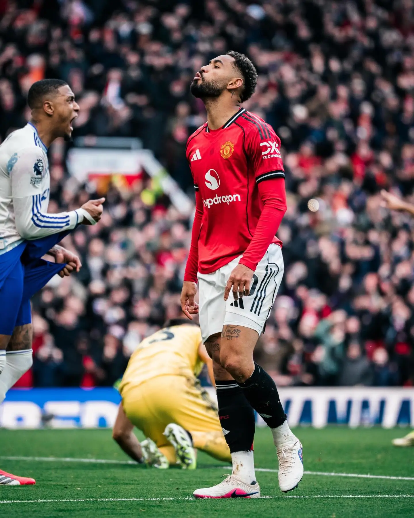 开云网页-打入一球,库尼亚赛后社媒:酷毙了,美丽的周日